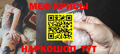 прущие грибы Кандалакша