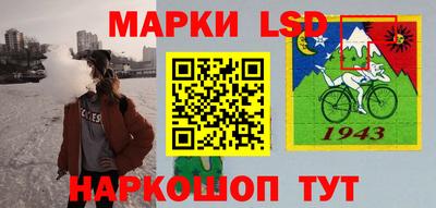 дмт Кингисепп