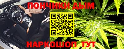прущие грибы Кандалакша