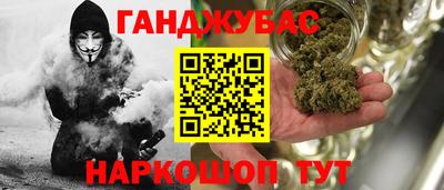 прущие грибы Кандалакша