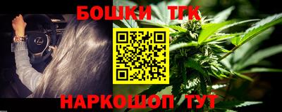 прущие грибы Кандалакша