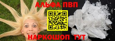 дмт Кингисепп