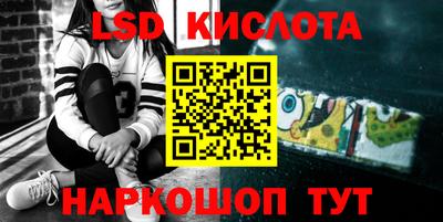 прущие грибы Кандалакша