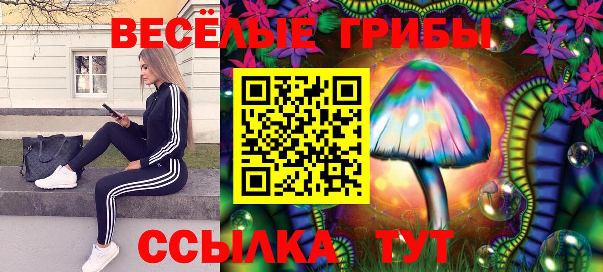 Галлюциногенные грибы мухоморы Кудымкар